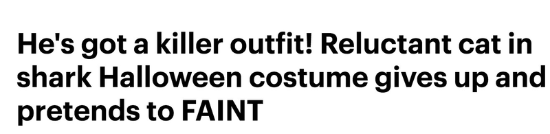 Via Daily Mail